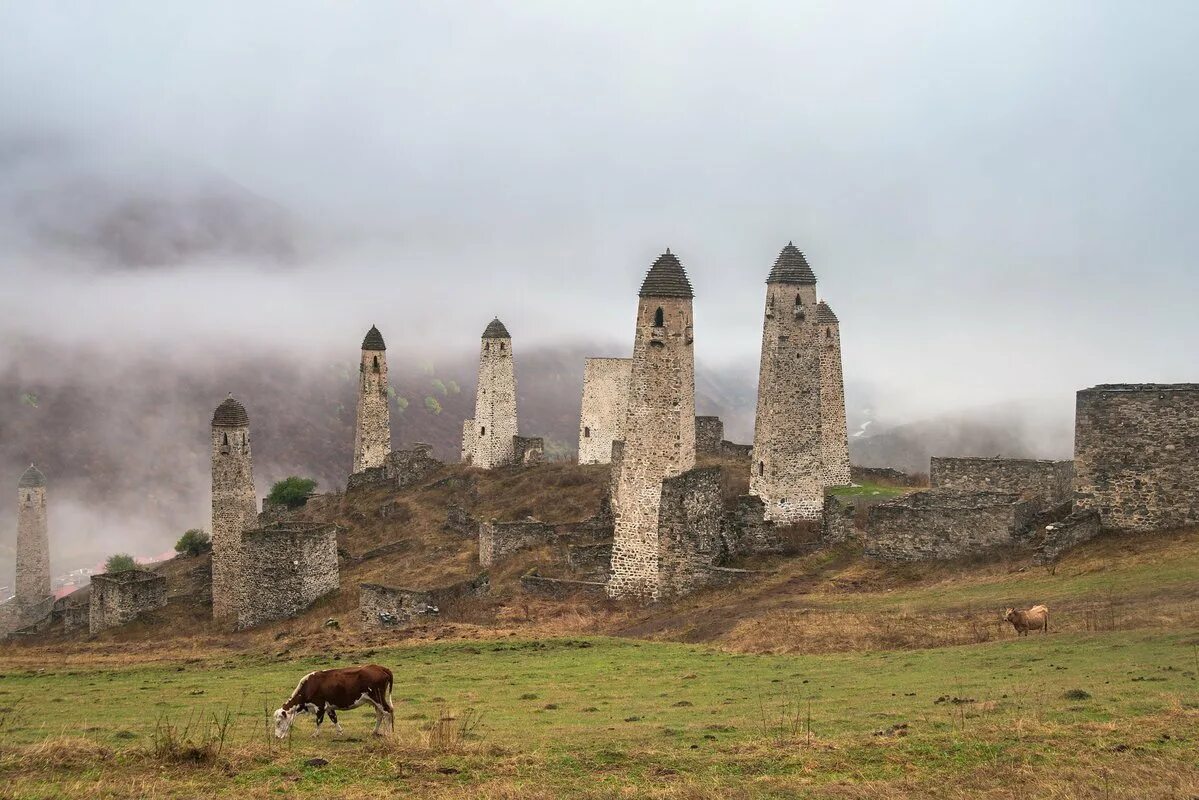 Заповедник в ингушетии 4. Заповедник в ингушетии 4. Государственный природный заповедник эрзи назрань. Башни эрзи ингушетия. Ингушетия, парк «эрзи».