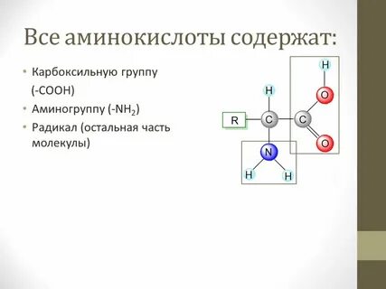 Nh2 группа