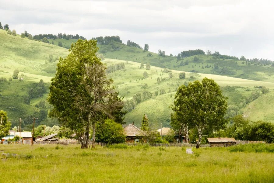 Гисметео село алтайское алтайского района алтайского края. Куяган Алтайский край. Село Куяган Алтайский край Алтайский район. Алтайский край, Алтайский р-н, с. Куяган. Горы Куяган Алтайский край.