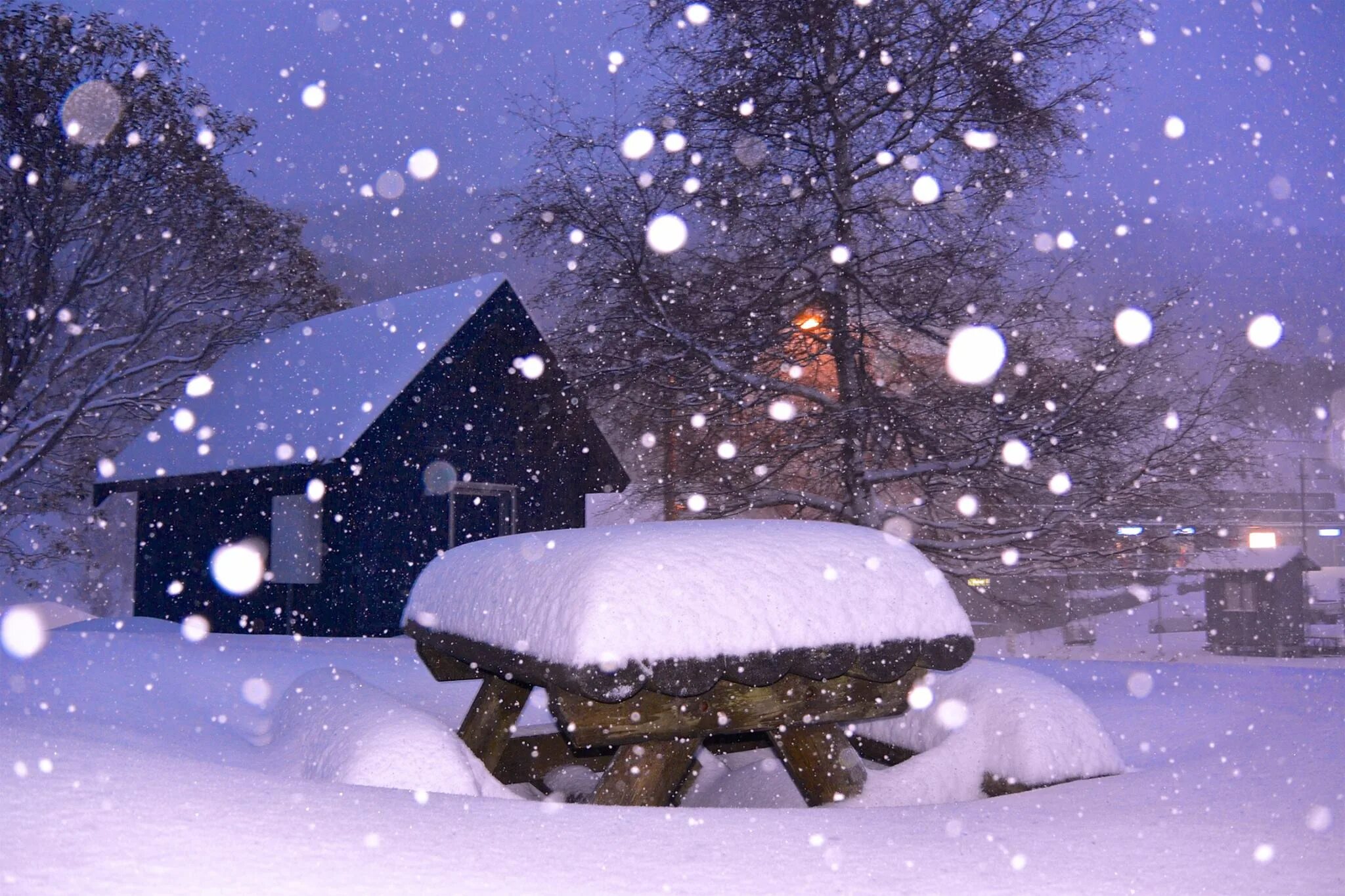 Isn t snowing. Snowing. yard snowing. it is snowing. skábma - snowfall.