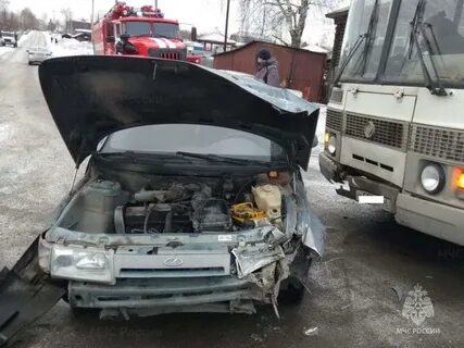 Сутки видео