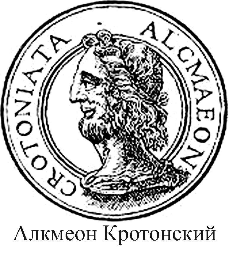 алкмеон из кротона. алкмеон школа античной философии. алкмеон кротонский. алкмеон кротонский философ. кротонская медицинская школа древней греции.