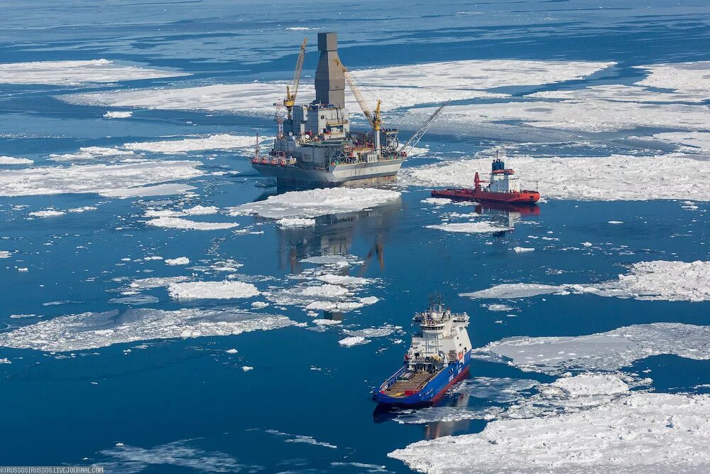 Шельф охотского моря нефть