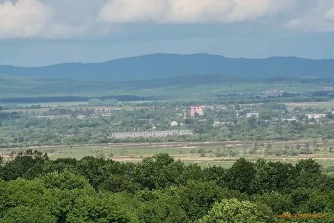 Погода село новицкое приморский край