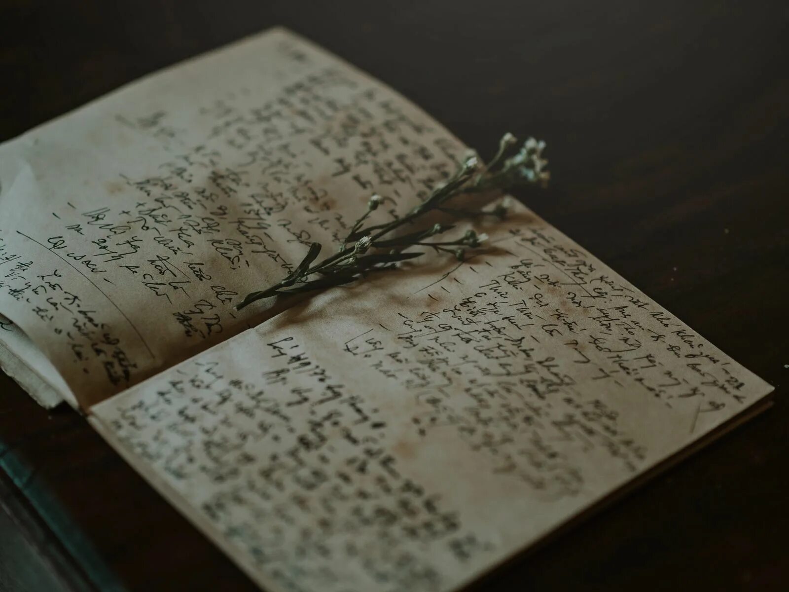 Лирические тетради. Старинный блокнот. Старинная записная книжка. Старинный дневник. Записи Эстетика.