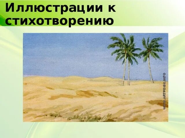 Роптать три пальмы. Баллада три пальмы лермонтов. стихотворение м ю лермонтова три пальмы. три пальмы лермонтов иллюстрации.