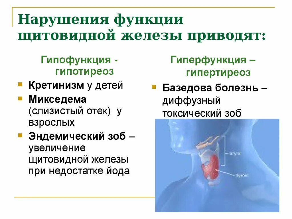 Мексидема. Заболевания возникающие при нарушении функций щитовидной железы. Нарушения функции щитовидной железы гипофункцией и гиперфункцией. Заболевание вызванное нарушением функции щитовидной железы. Щитовидная железа нарушение функций железа.