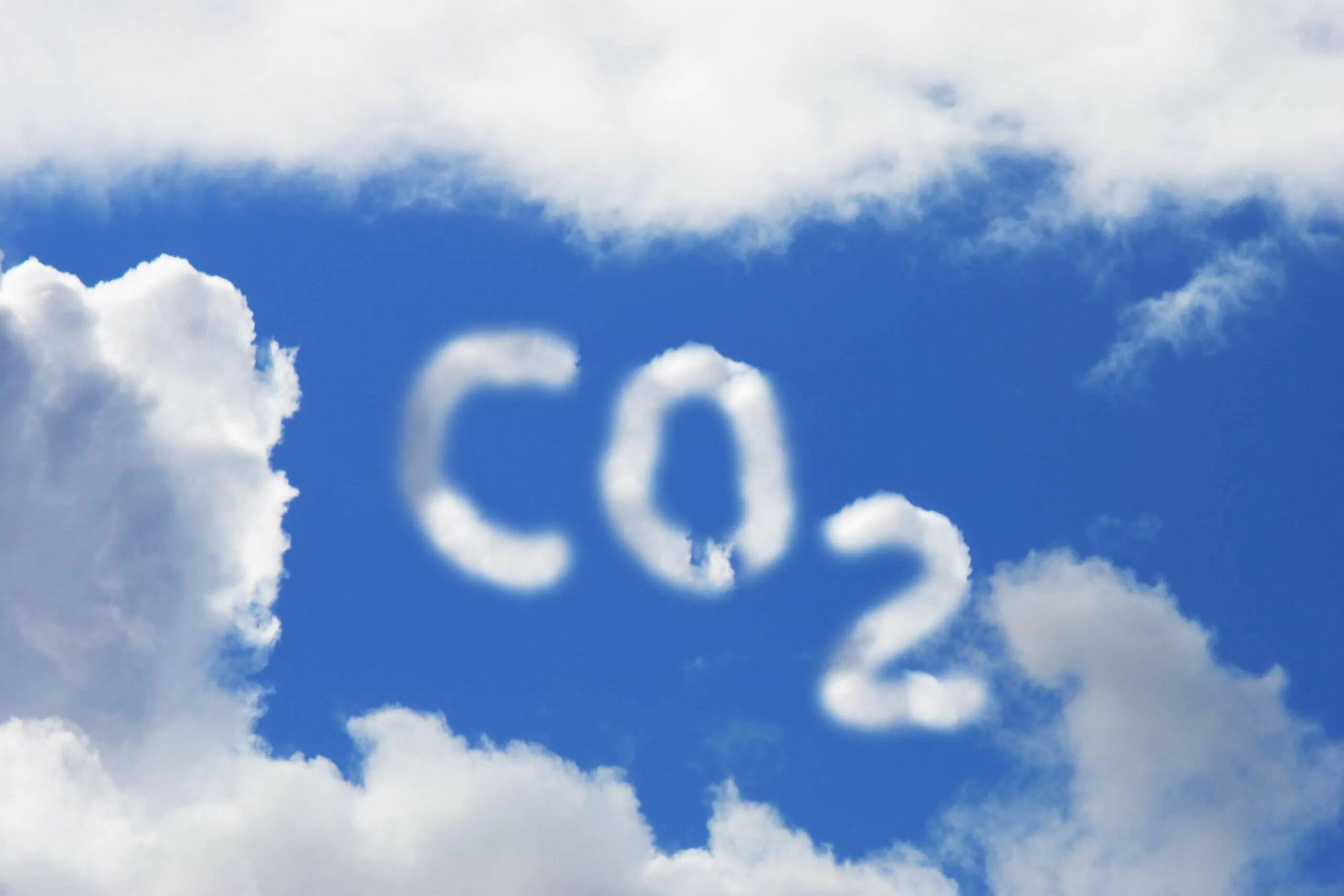 Газы co и co2