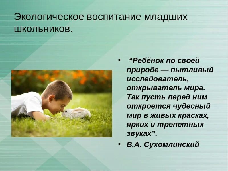 Цитаты о детях дошкольного возраста. Экологическое воспитание. экологическое воспитание младших школьников. цитаты о воспитании детей. фразы о воспитании детей.