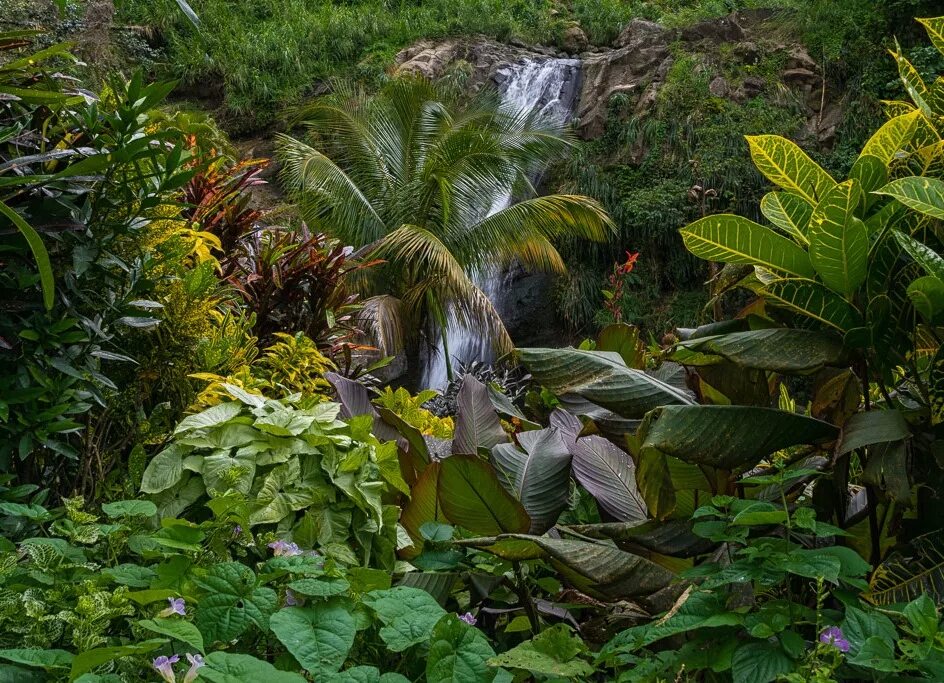 Тропики и субтропики. Водопады Конкорд. Национальный парк Гранд-Этан Гренада.