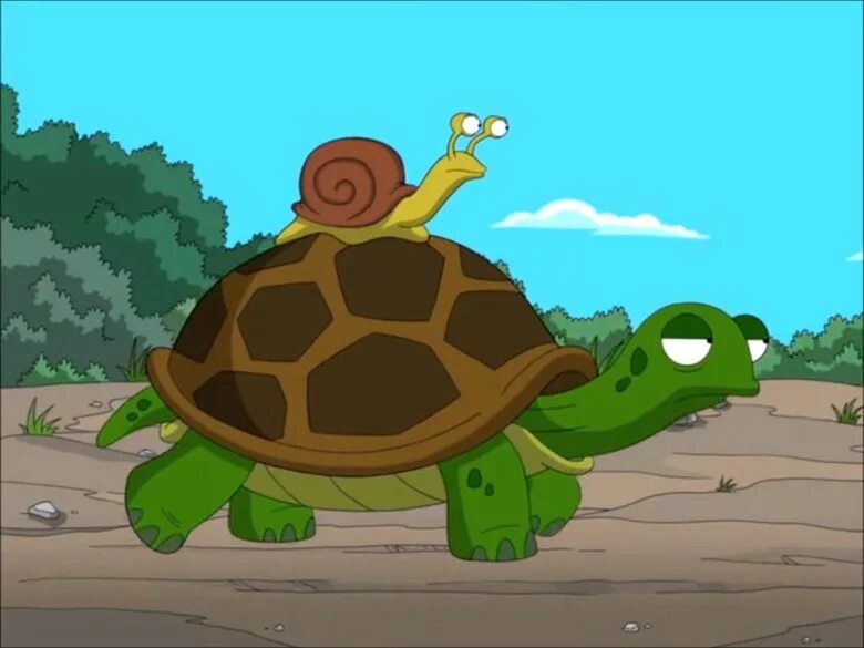 Черепаха медленно ползет. Медленная черепаха. Черепаха из мультика. Улитка и черепаха. Смешная черепаха.