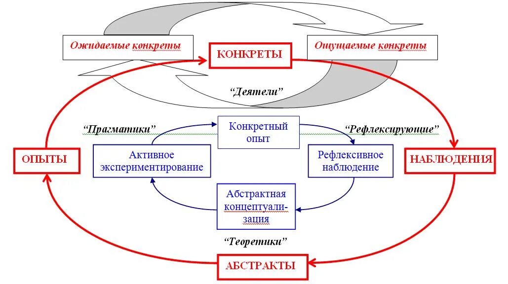 Циклы образовательного процесса