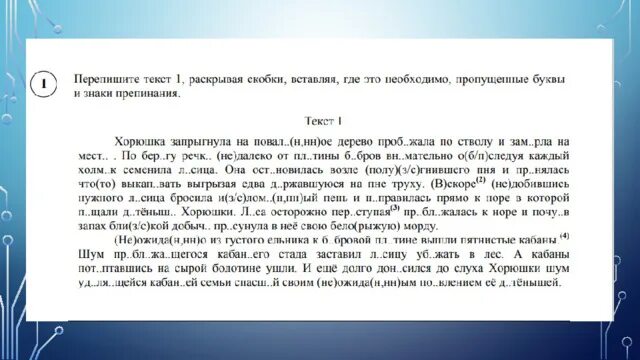 Она идет дальше филька впр. ВПР по русскому языку 8 класс с ответами. Хорюшка запрыгнула на повал ВПР ответы. Хорюшка запрыгнула на повал н НН ое дерево ВПР. Короткий рассказ Хорюшка.