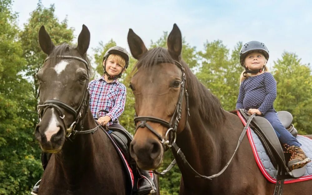 дети катаются на лошадях. мальчик на лошади. кататься верхом на лошади. верховая езда. верхом на лошади.