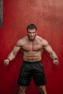 Клоков картинки