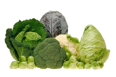Cruciferous vegetable