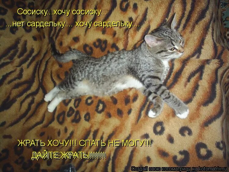 Я хочу сосиску. Котенок с сосиской. Хочу сосиску. Сейчас бы сосиску в тесте. Кошка с сосисками.