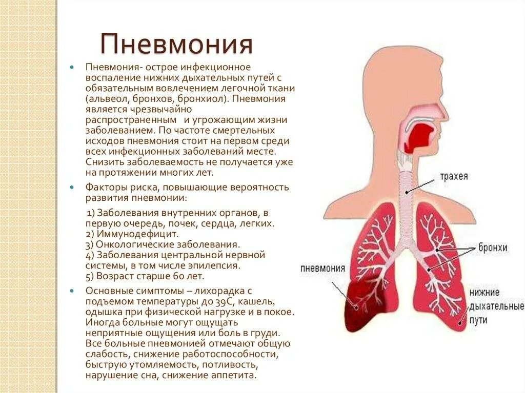 Пневмония признаки у взрослых. Пневмония симптомы. Воспаление легких симптомы у взрослых. Пневмония симптомы у взрослых. Симптомы воспаления легких.