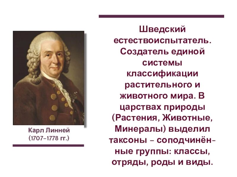 Эволюционные идеи ученых. Ученые естествоиспытатели. Естествоиспытатели 5 класс. История развития эволюционных идей. Единой системы классификации растительного.