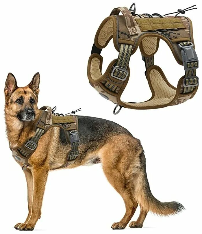 Тактическая шлейка для собак. Шлейка Tactical Dog. Шлея для собак тактическая. Шлейка тактическая для немецкой овчарки. Грузовая шлейка для собак.