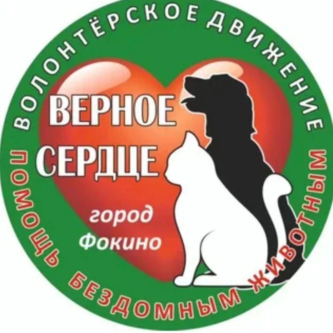 Защита любимой. Верный друг крепкая защита. Раз два горе не беда. Настоящий друг рисунок. Верные друзья картинки.