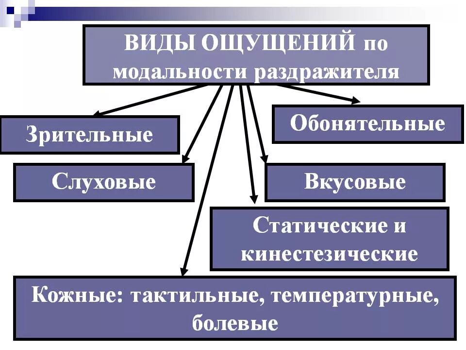 Классификация ощущений по модальности. Классификация ощущений в психологии. Ощущение классификация ощущений. Классификация ощущений по модальности в психологии.