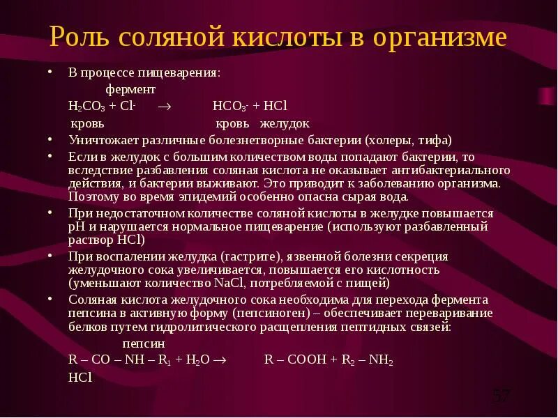 Какую роль играет соляная кислота в пищеварении. Роль соляной кислоты в пищеварении. функции соляной кислоты в организме. соляная кислота в процессе пищеварения. соляная кислота в организме функции.