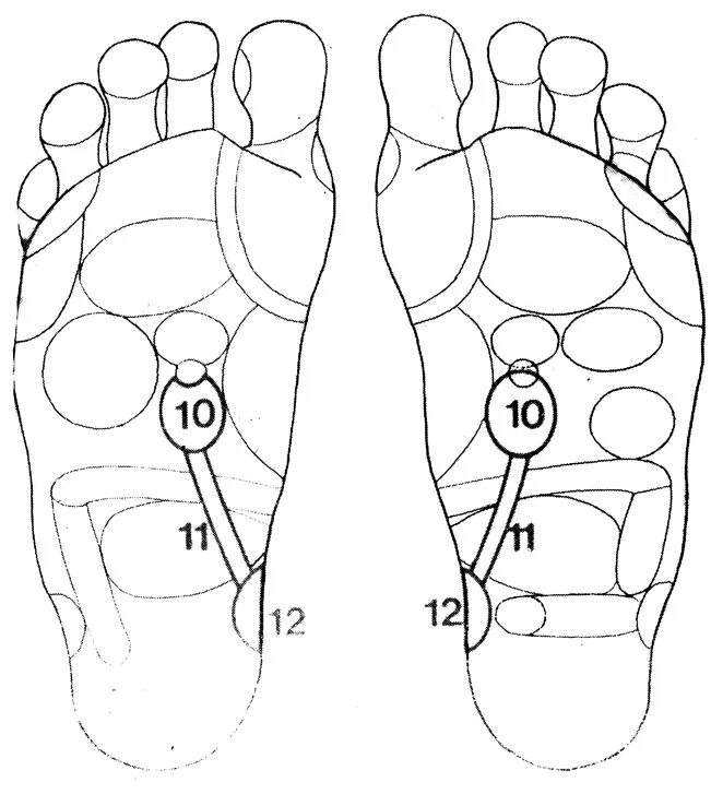 Рефлекторные зоны стопы мочевого пузыря. Рефлекторные зоны стоп ног. Точки на стопе. Проекция зон на стопе.