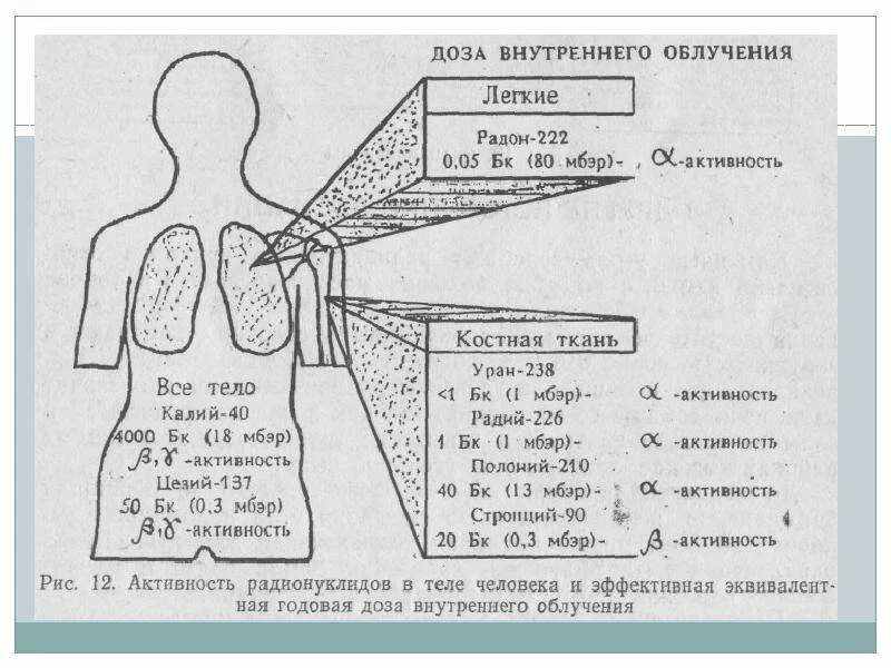 Схема излучения радиации. Внутреннее облучение схема. Источники и воздействия на организм человека радиации. Воздействие радиации на человека схема. Химический состав излучений