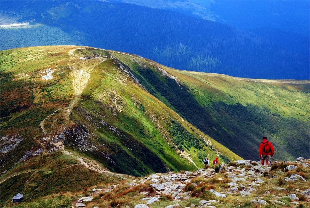 вершина горы говерла. вершина горы говерла. гора говерла украина. гора говерла, карпаты, украина. говерла карпаты.