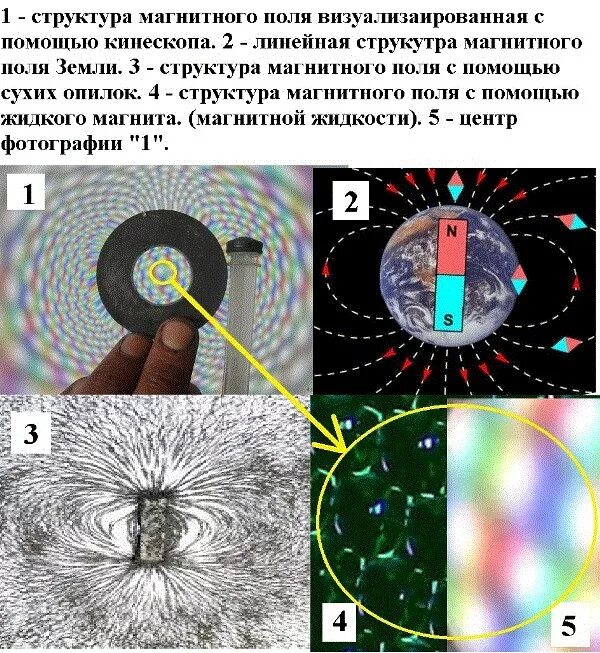 Магнитное поле магнитного круга. Визуализация магнитного поля постоянного магнита. Силовые линии магнитного поля земли. Магнитные магнитные поля. Существование магнитного поля.