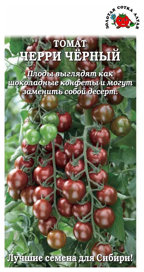 Томаты золотой сотки алтая. Томат черри черный принц. Томат черри черный f1. Томат черри черный семена Алтая. Семена черри черный принц.