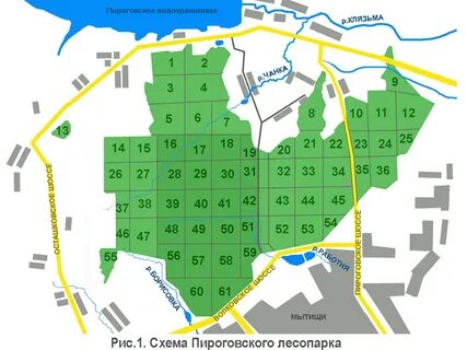 Схема мытищи
