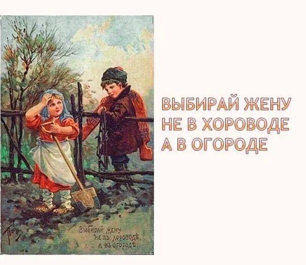 Ищи жену не в хороводе а в огороде. Выбирай жену не в хороводе пословица. Открытки с пословицами. Открытки Табурина с пословицами.