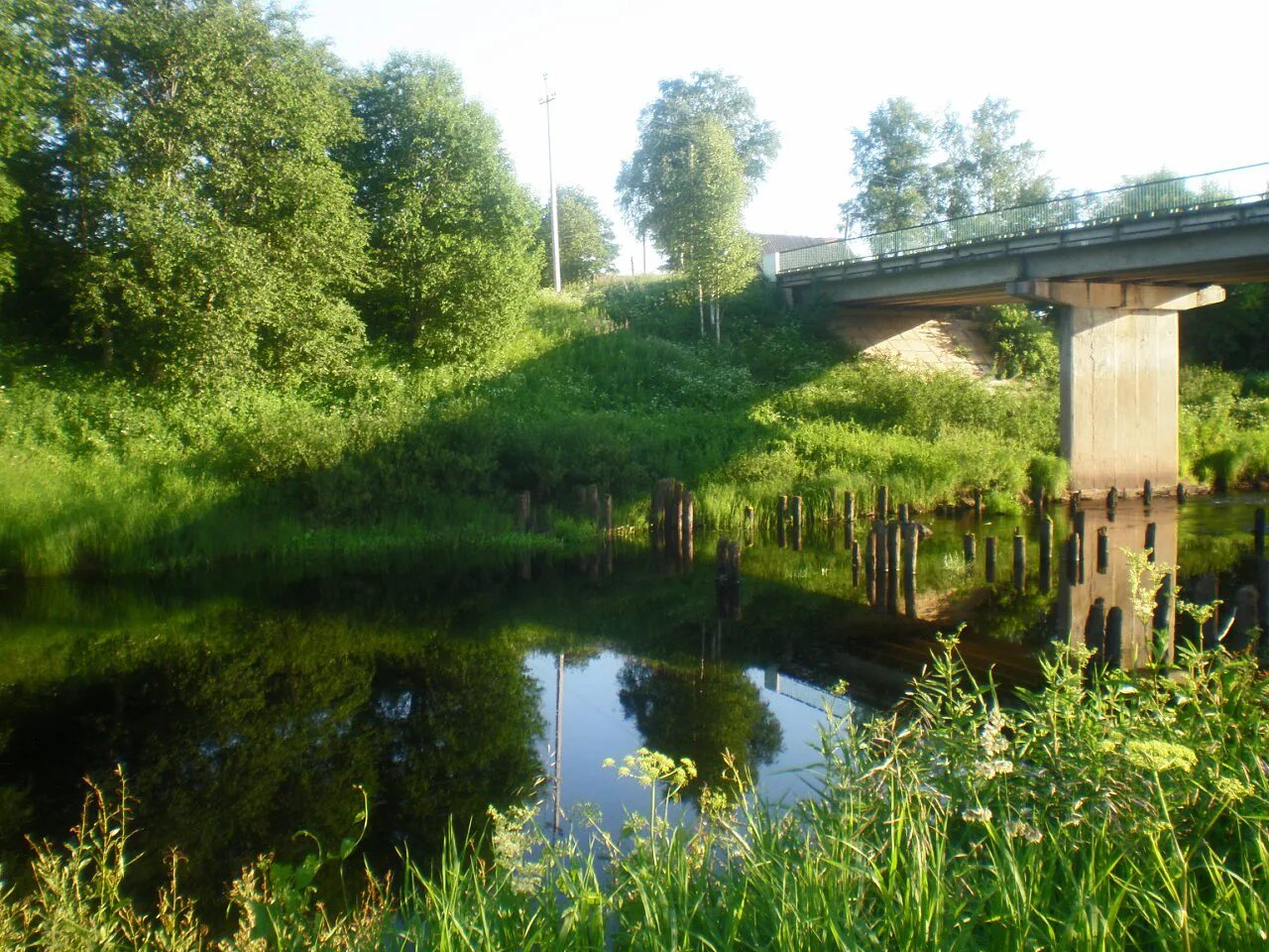 Купить дом в вишере новгородской области. Река большая Вишера Новгородская область. Мытно Новгородская область. Дер Мытно Новгородский район. Марково (Новгородский район).