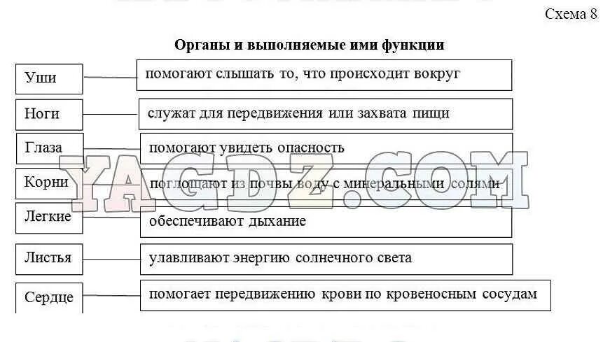 Биология 5 класс рабочая тетрадь стр 87. Биология 5 класс рабочая тетрадь Бодрова синяя. Биология 5 класс рабочая тетрадь Бодрова. Биология 5 класс параграф 13. Биология 6 класс тетрадь Бодрова.