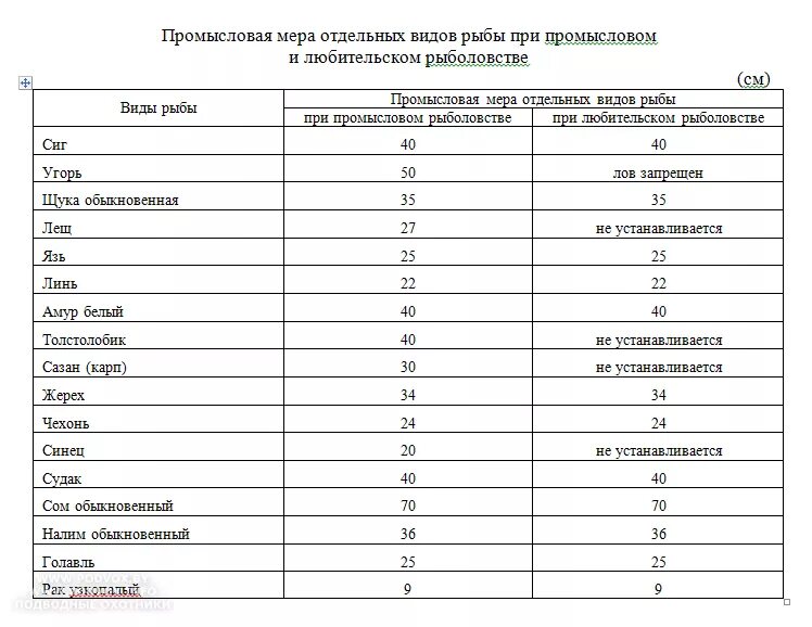 Какую рыбу можно ловить по новому закону. Разрешенный размер улова рыбы. Таблица размера разрешенной рыбы. Талица разрешенной к вылову рыбы. Размер рыбы разрешенной к вылову.