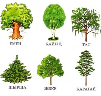 Жігіт мені есекпен ұрады