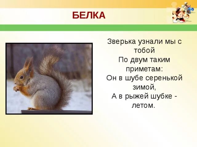 Узнаю тебя рыжая по шубке. Узнаю тебя рыжая по шубке. Кто в шубке серенькой зимой а в рыжей шубке летом. Зверька узнаем мы. Маленькие зверьки серенькие шубки длинные хвосты загадка.