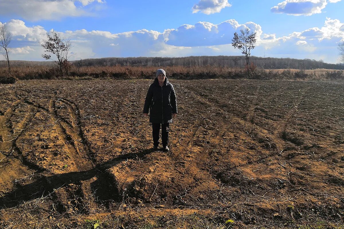 Креативная живопись. Креативные картинки. Князь дмитрий донской куликовская битва. Война добра со злом. Князь владимир мономах битва с половцами.