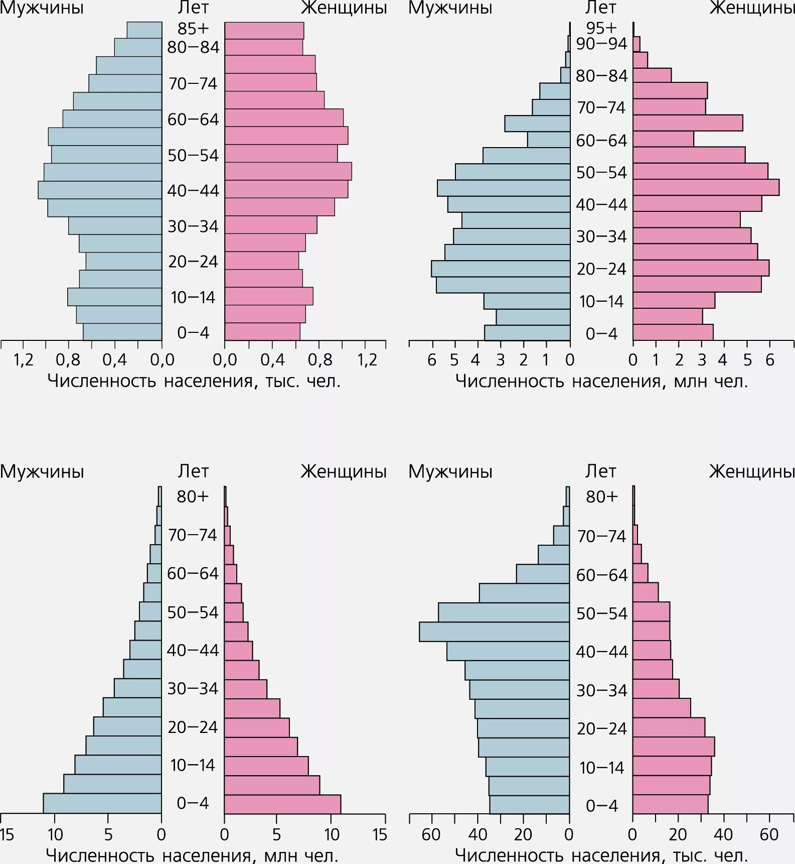 География 8 класс возрастной состав населения россии. Возрастно половая пирамида 10 класс. Половозрастная демографическая пирамида. Возрастно половая пирамида демография.