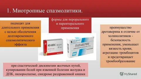 Спазмолитик это