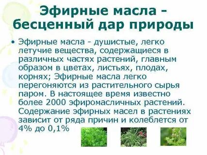 Вещества содержащие эфирные масла