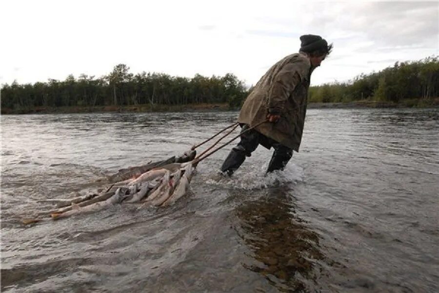 Ловит м