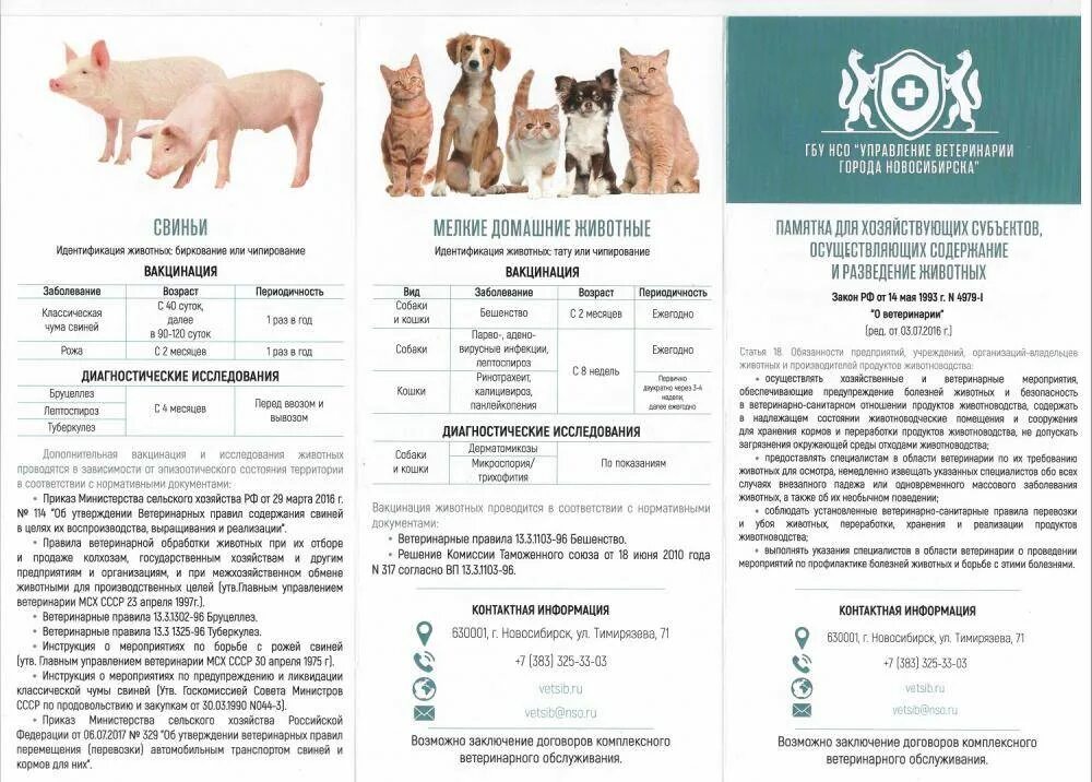 Ветеринарные правила. Схема вакцинации животных. Схема вакцинации Ветеринарное. Таблица вакцинации животных. Схема вакцинации собак и кошек.