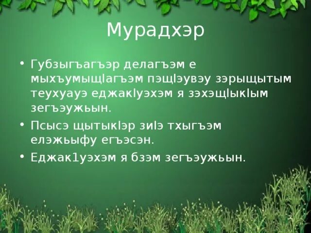 Сынохъуэхъу уи махуэмк1э