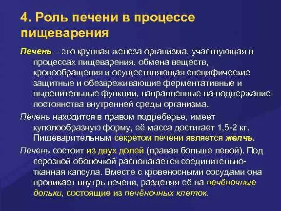 Роль печени состоит в том что. Роль печени в процессе пищеварения. Какова роль печени в пищеварении. Назовите роль печени в процессе пищеварения. Роль печени в пищеварении кратко.