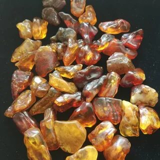 Baltic amber