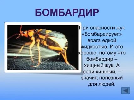 Приспособление жука