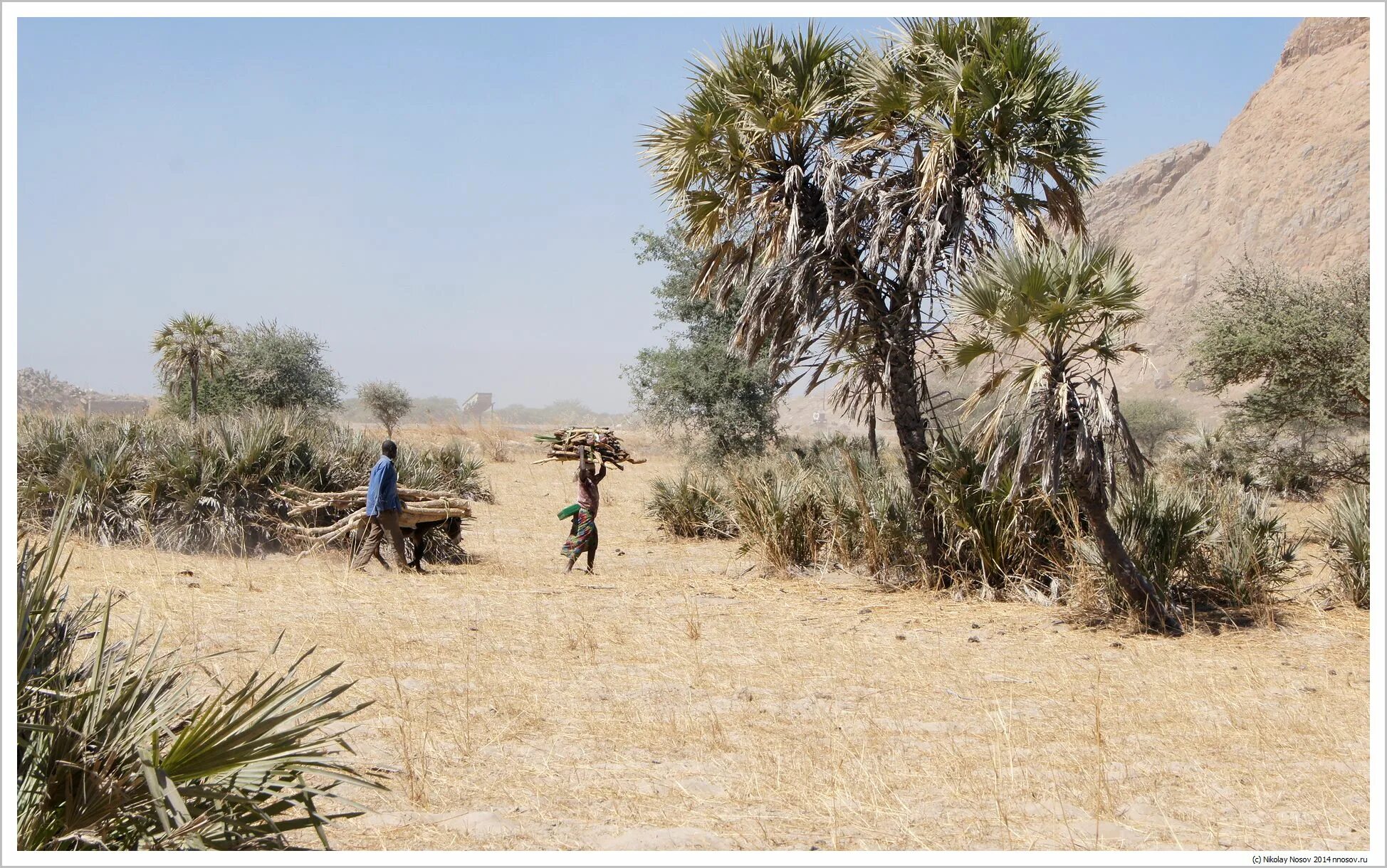 Снег в юар. В африке выпал снег 2021. Африка зимой. Йоханнесбург снег. Снегопад алжир 2021.